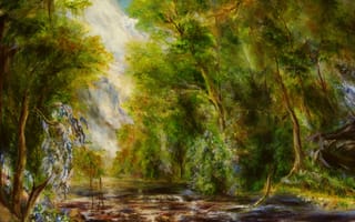 Картинка цветы, ручей, камни, лес, деревья, река