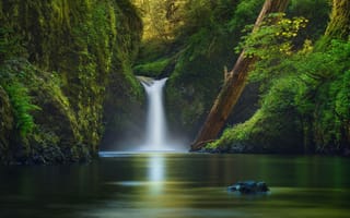 Картинка США, река, растительность, природа, деревья, ictor Carreiro, водопад