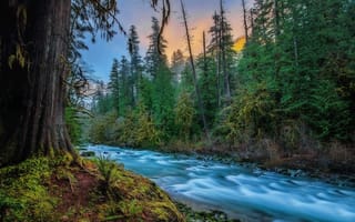 Картинка США, Kevin Russell, лес, природа, Скайкомиш, течение, Skykomish, река