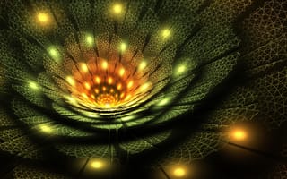 Картинка цветы, узор, фрактал, лепестки, объем