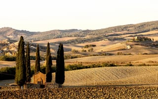 Картинка дорога, Toscana, поля, деревья, Val d'Orcia
