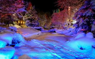 Картинка Whistler Village, зима, парк, город, праздник, снег, гирлянда, ель, дом, Christmas, елка