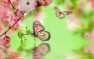 Картинка spring, бабочки, water, весна, отражение, reflection, pink, розовый, blossom, butterflies, flowers, вода, цветение
