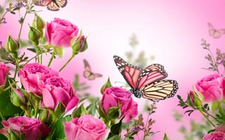 Картинка roses, розы, pink, butterflies, blossom, flowers, цветение, цветы, бабочки, beautiful