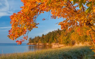 Картинка осень, берег, дерево, небо, скалы, лес, Michigan, озеро, листья, ветка, море, багрянец