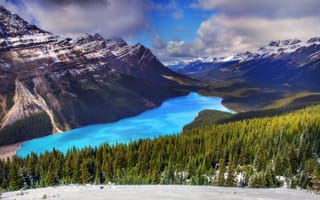 Картинка peyto lake, banff national park, alberta, горы, озеро, лес, зима, ель, canada, снег, канада, деревья