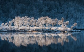 Картинка иней, вода, Тромс, отражение, Storjord, Норвегия, Kvæfjord kommune, Troms, деревья, Norway, Квефьорд