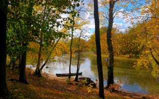 Обои небо, осень, лес, пейзаж, листья, деревья, лодка, река