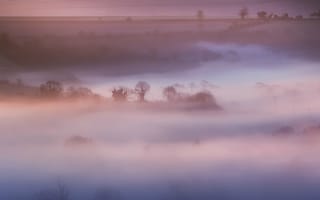 Картинка утро, Великобритания, поле, Англия, деревья, дымка, розовый, туман, природа