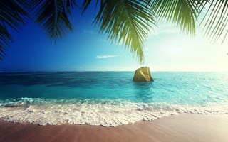 Обои tropical, тропики, palm, sea, берег, paradise, остров, coast, summer, пляж, beach, море, ocean, песок, солнце, океан