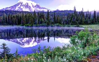 Картинка Маунт-Рейнир, горы, цветы, озеро, сша, деревья, вершина, снег, ель, весна, небо