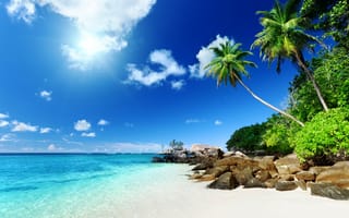 Обои tropical, пляж, тропики, paradise, beach, берег, ocean, океан, coast, palm, остров, солнце, песок, sea, summer, море