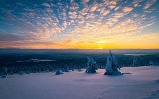 Картинка зима, снег, утро, деревья, панорама