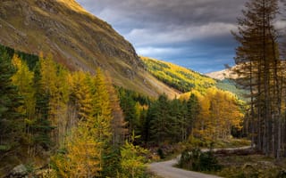 Картинка горы, Cairngorms National Park, дорога, скалы, Шотландия, лес, осень, деревья