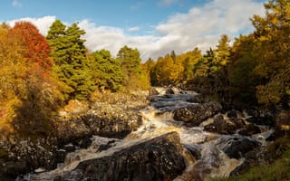 Картинка камни, Шотландия, лес, солнце, деревья, река, облака, River Cassley, осень