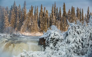 Картинка Манитоба, река, Manitoba, водопад, ели, зима, Canada, лес, Канада, Pisew Falls Provincial Park, Pisew Falls