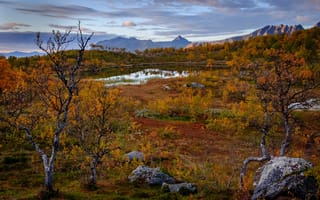 Картинка осень, деревья, Harstad, горы, Тромс, озеро, Норвегия, Харстад, Norway, Troms, Aunfjellet