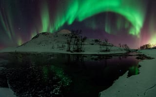 Картинка северное сияние, ночь, звезды, Aurora Borealis, вода, снег, деревья, зеленый