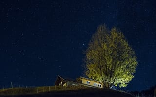Картинка звезды, дом, ночь, дерево