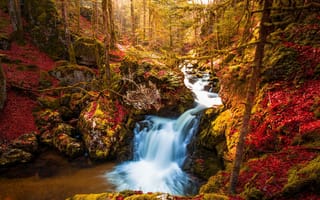 Картинка лес, природа, осень, водопад, деревья