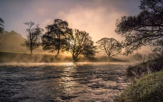 Картинка природа, туман, река