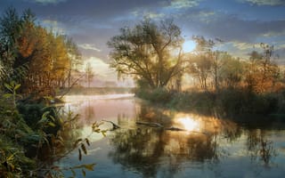 Картинка пруд, изморозь, заморозки, туман, деревья, осень, природа