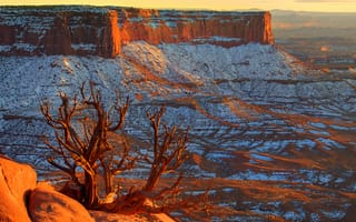 Картинка canyonlands, закат, каньон, горизонт, небо, utah, камни, снег, дерево, сша
