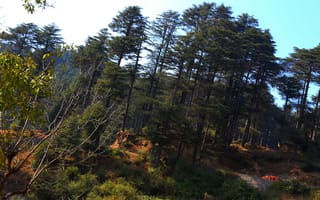 Картинка Nature, Mountain, Trees