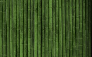 Картинка бамбук, текстуры green style