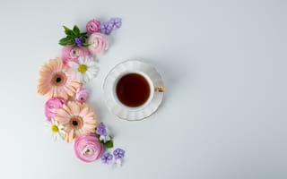 Обои цветы, pink, flowers, чашка, tender, coffee, кофе, cup