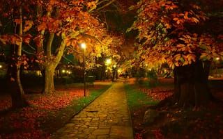 Картинка Осень, Парк, Colors, Park, Night, Autumn, Ночь, Path, Деревья, Фонари, Листва, Fall, Trees, Дорожка, Leaves