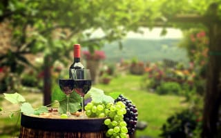 Картинка бутылка, вино, бокалы, боке, листья, пробки, зелень, сад, виноград, бочка