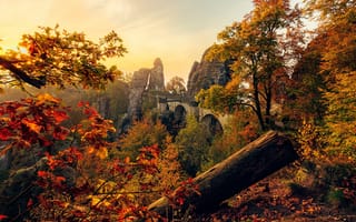 Картинка камни, солнце, мост, листья, скалы, деревья, Германия, Саксония, осень, Saxony