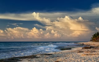Картинка море, волны, пляж, песок, пальмы, ветер, облака