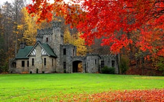 Картинка замок, США, Squire's Castle, осень, Cleveland, лес