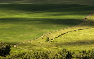 Картинка дорога, зелень, долина, автомобиль, сверху, поле