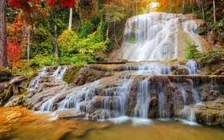 Картинка лес, деревья, поток, водопад, пейзаж, природа