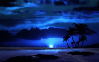 Картинка вечер, ночь, небо, пейзаж, тропики, облака, луна, море, пальма