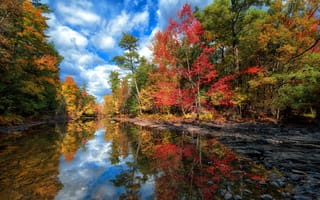 Картинка небо, пейзаж, осень, озеро, деревья, отражение, лес, облака, вода