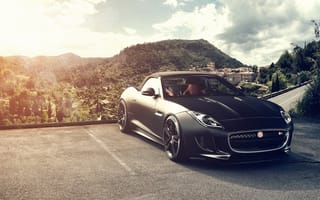 Картинка Jaguar, black, F-Type, горы, блик, чёрный, Fernandez World Photography, солнце, front, ягуар, V8 S