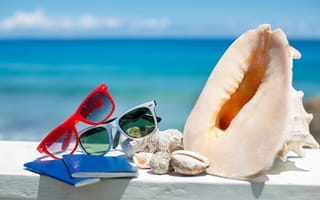 Картинка summer, glasses, accessories, beach, sun, sea, blue sky, shells, vacation