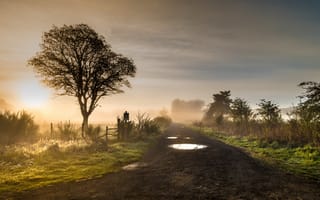 Картинка дорога, утро, туман