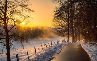 Картинка закат, деревья, Frank Delargy, зима, дорожка, снег