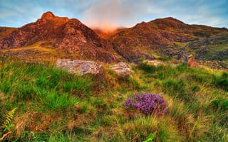 Картинка горы, склон, небо, облака, камни, цветы, сноудония, трава, Уэльс, Англия
