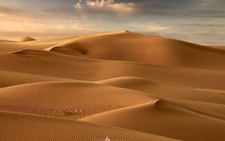 Обои пустыня, пейзаж, дюны, песок