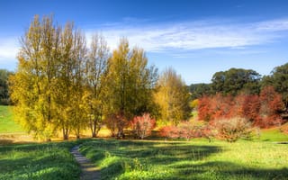 Картинка облака, парк, трава, Mount Lofty Botanic Garden, солнце, тропинка, осень, деревья, небо, Австралия, кусты