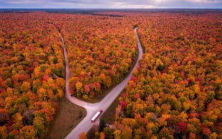 Картинка США, облака, Michigan, дорога, вид сверху, горизонт, осень, машины, деревья, небо, лес