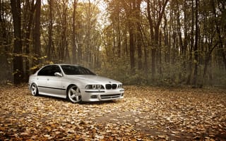 Картинка БМВ, Stance Works, листья, M5 E39, лес, Осень, BMW