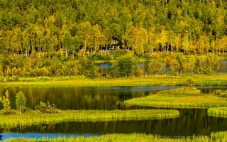 Картинка деревья, лес, норвегия, осень, горы, трава, дом, озеро, холмы