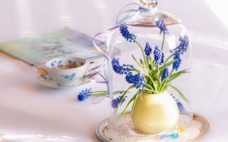 Картинка стол, чашка, синие, цветы, серверовка